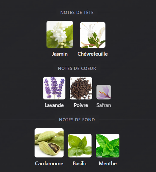 Ameer Al Arab – Asdaaf