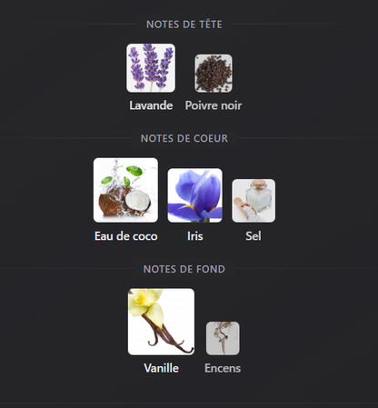 Asad Zanzibar – Lattafa Perfumes