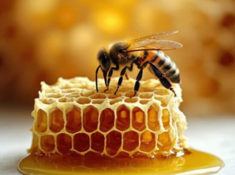 La pâte du Miel Alimentaire - 300 g- River Of Honey