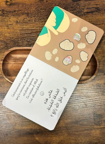 Bébé Ali à la découverte de la création d'Allah (Livre à toucher)