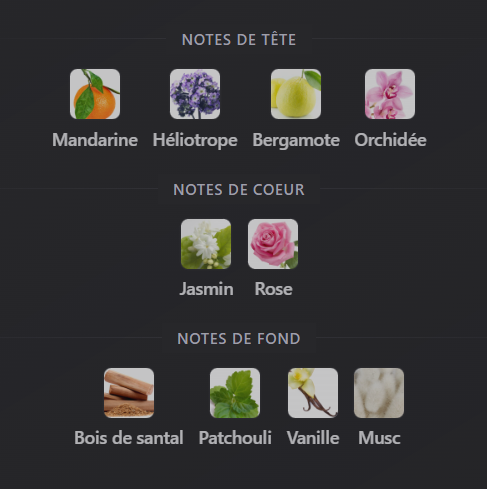 Tibyan – Eau de Parfum Femme – Al Wataniah