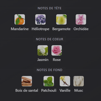 Tibyan – Eau de Parfum Femme – Al Wataniah