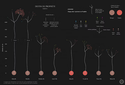 Infographie du Saint Coran